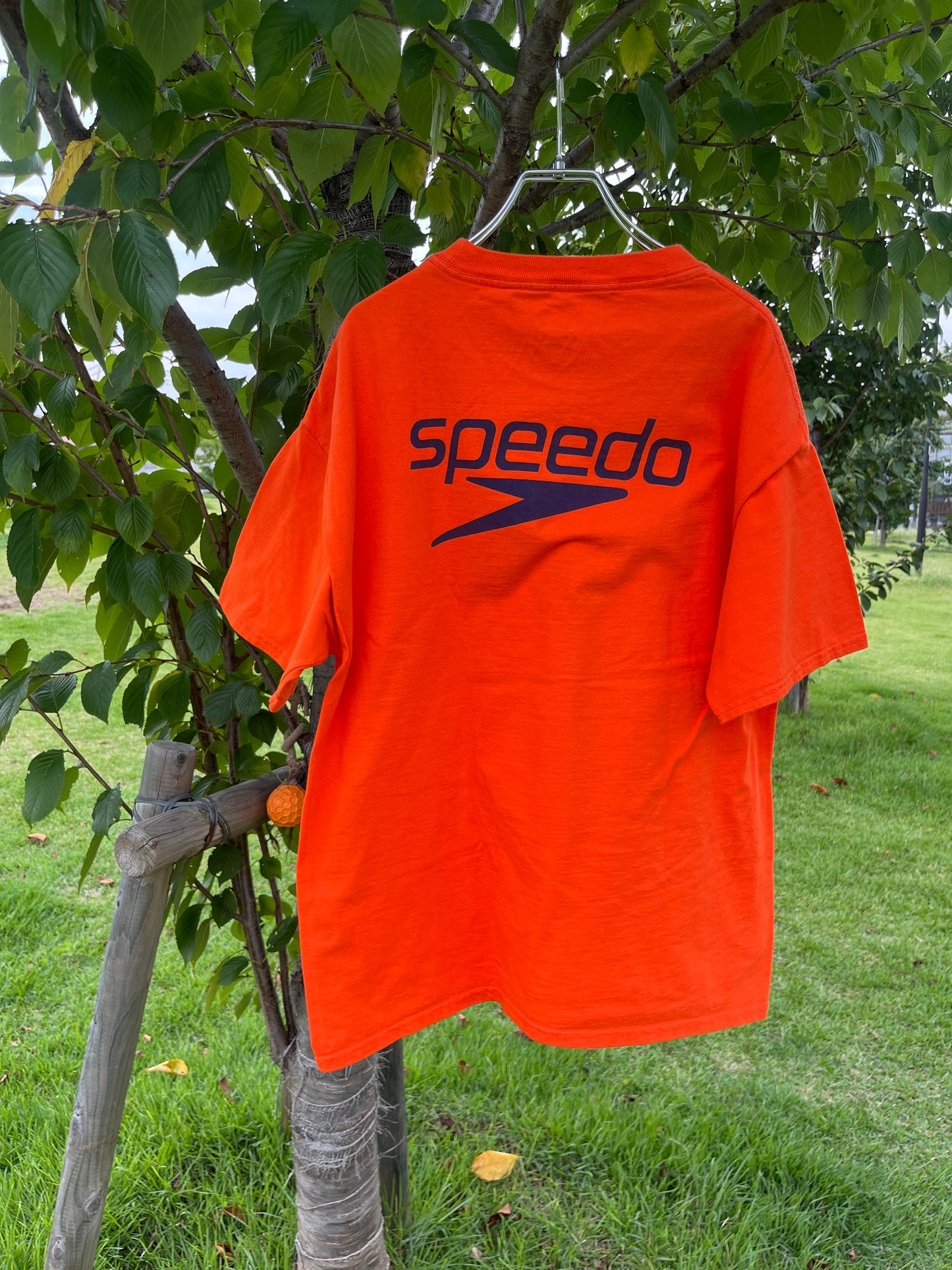 00's Speedo South Carolina Swim Club T-shirt (men's L)