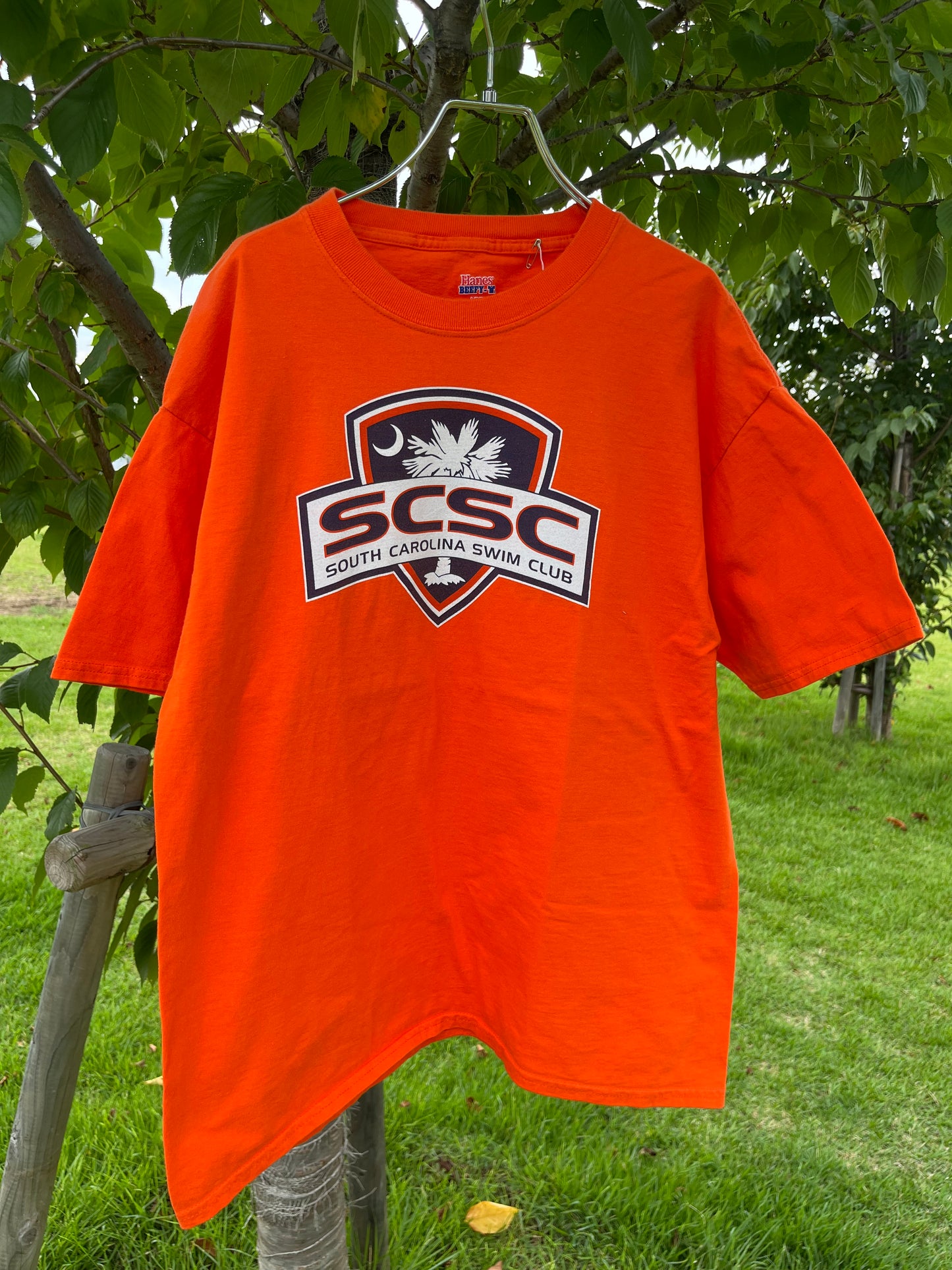 00's Speedo South Carolina Swim Club T-shirt (men's L)