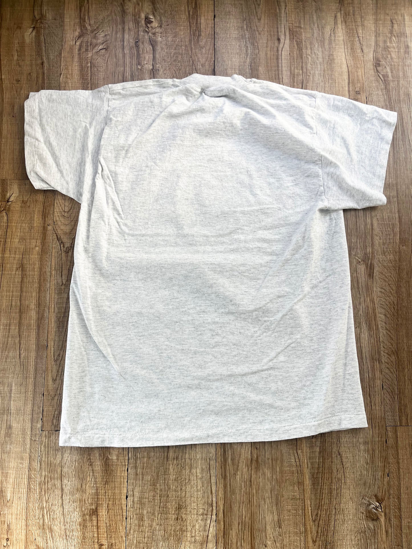 【Legend Surf Collection】90's VISION STREET WEAR T-shirt Gray (men's L)