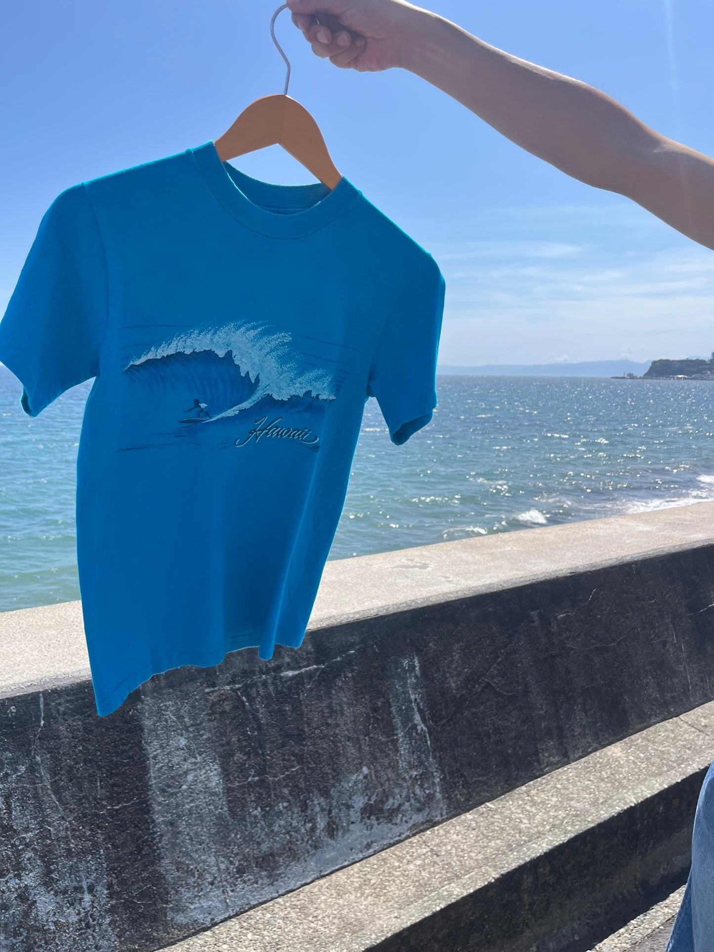 80's vintage Hanes Hawaii Sorbenia T-shirt (men's S)