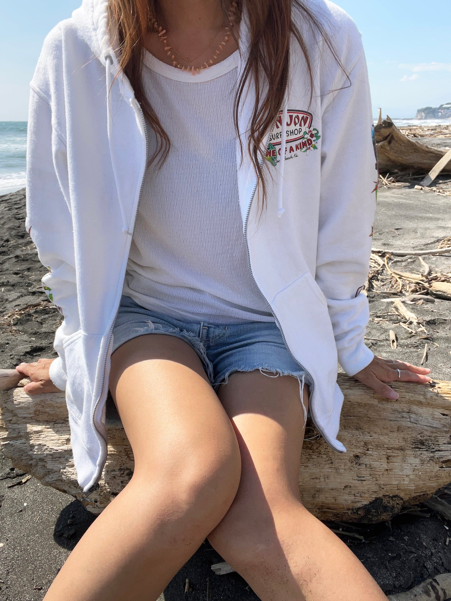 【RONJON SURF CLUB】Ronjon Surf Club Paradise surf Hoodie (men's S)