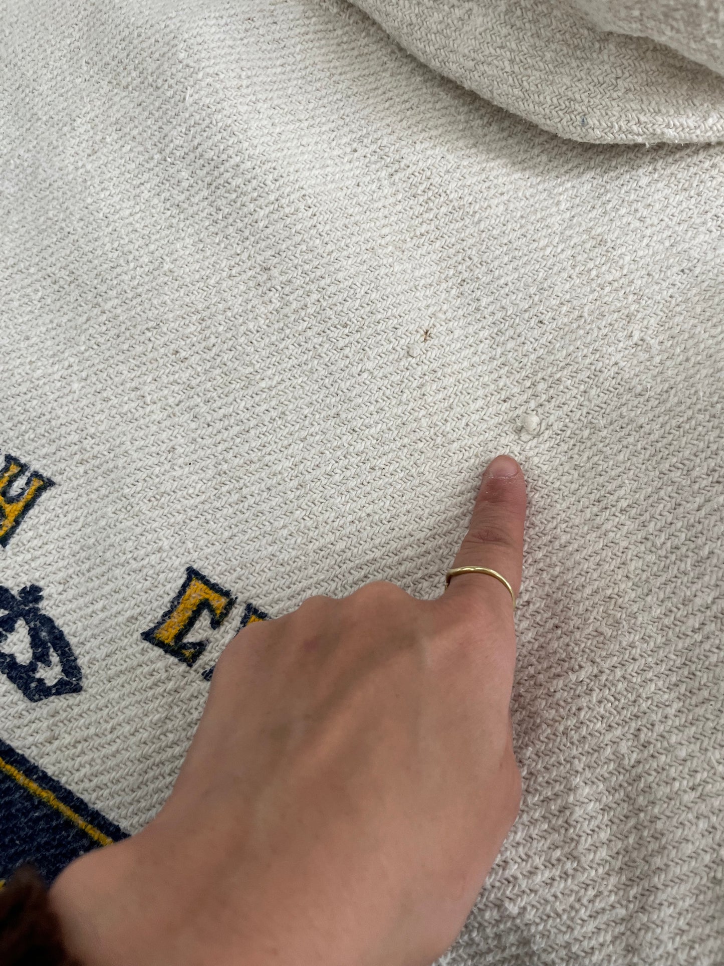 Beach Club Corona Beer Baja Hoodie (men's S-M相当)