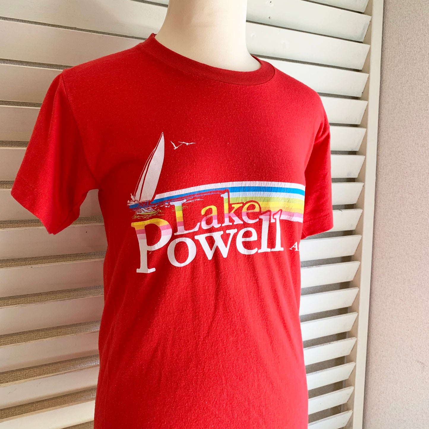 【VINTAGE】80's Lake Powell T-shirt (men's S)