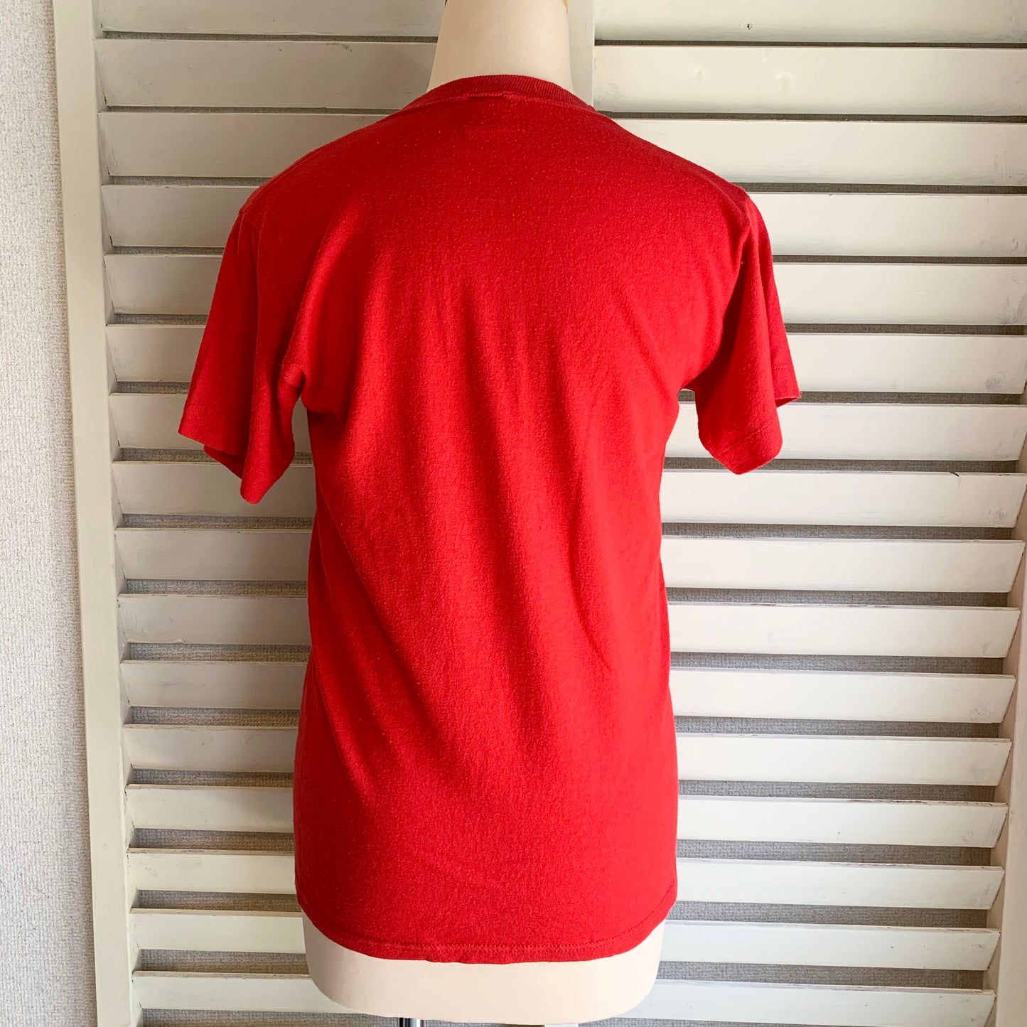 【VINTAGE】80's Lake Powell T-shirt (men's S)
