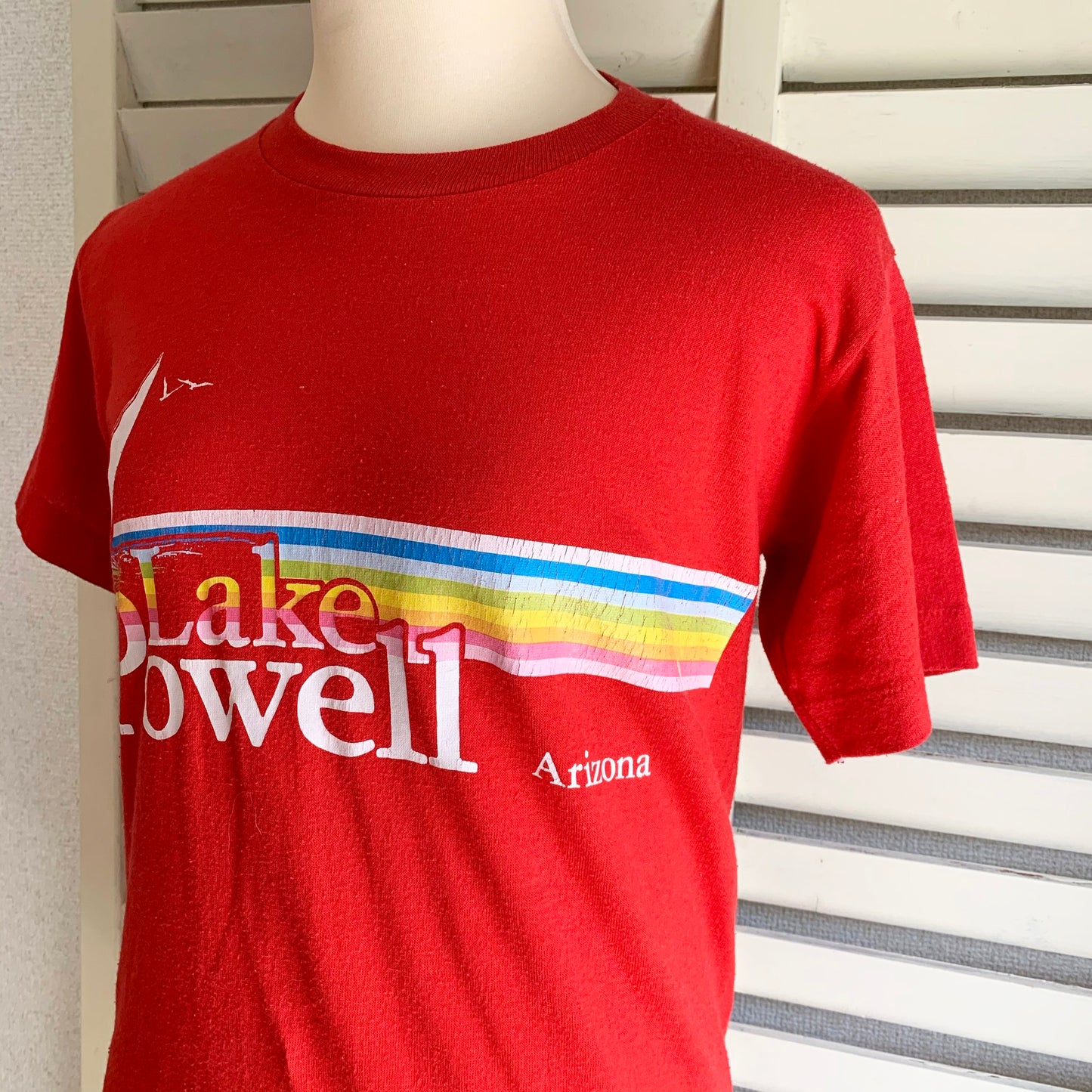 【VINTAGE】80's Lake Powell T-shirt (men's S)