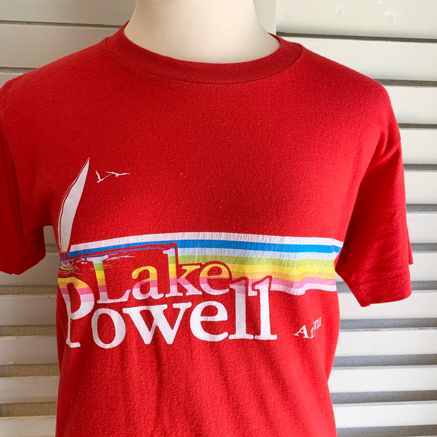 【VINTAGE】80's Lake Powell T-shirt (men's S)