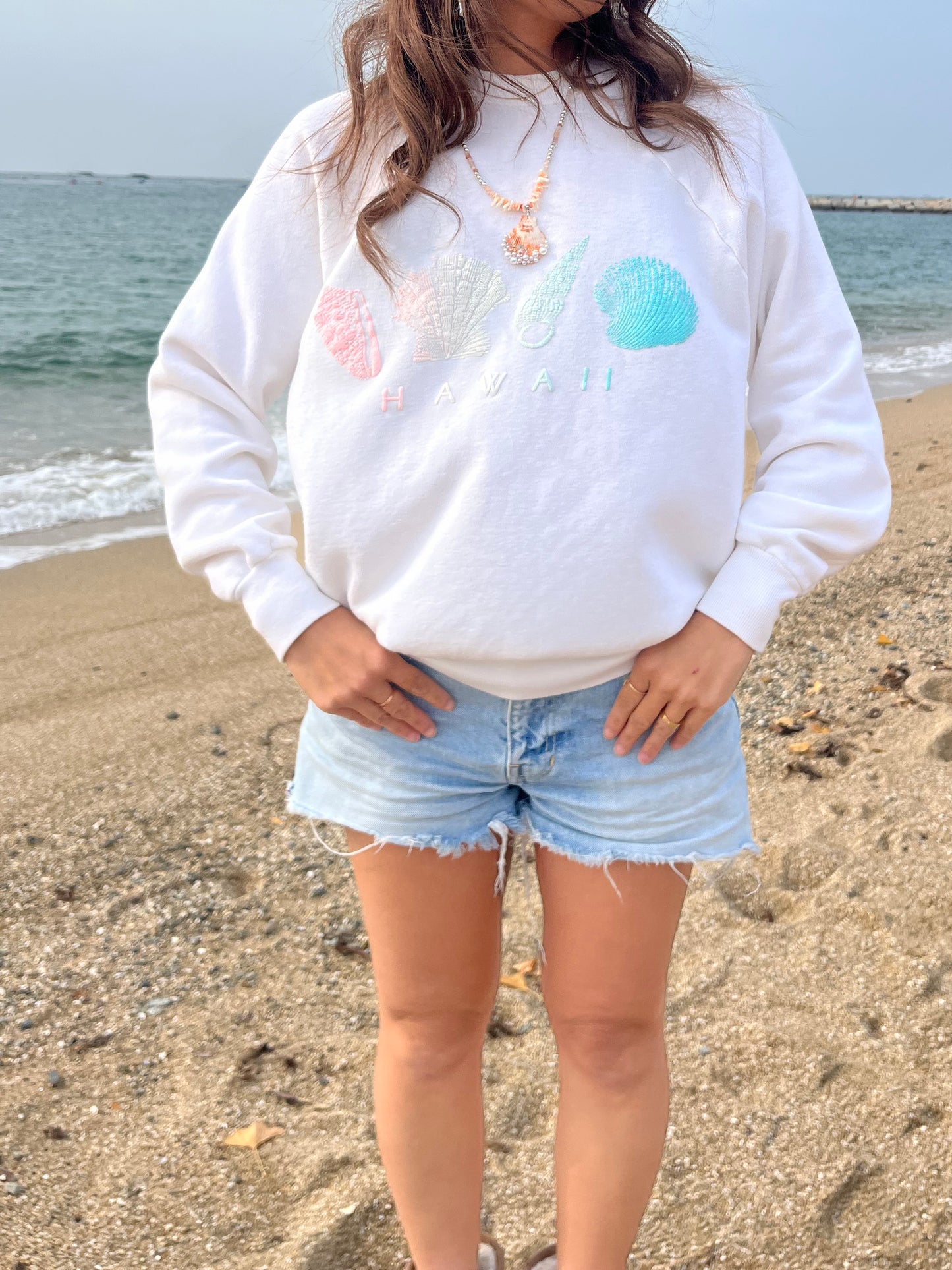 80's Pannill Hawaii Sweat Shirt made in USA (size Leage)