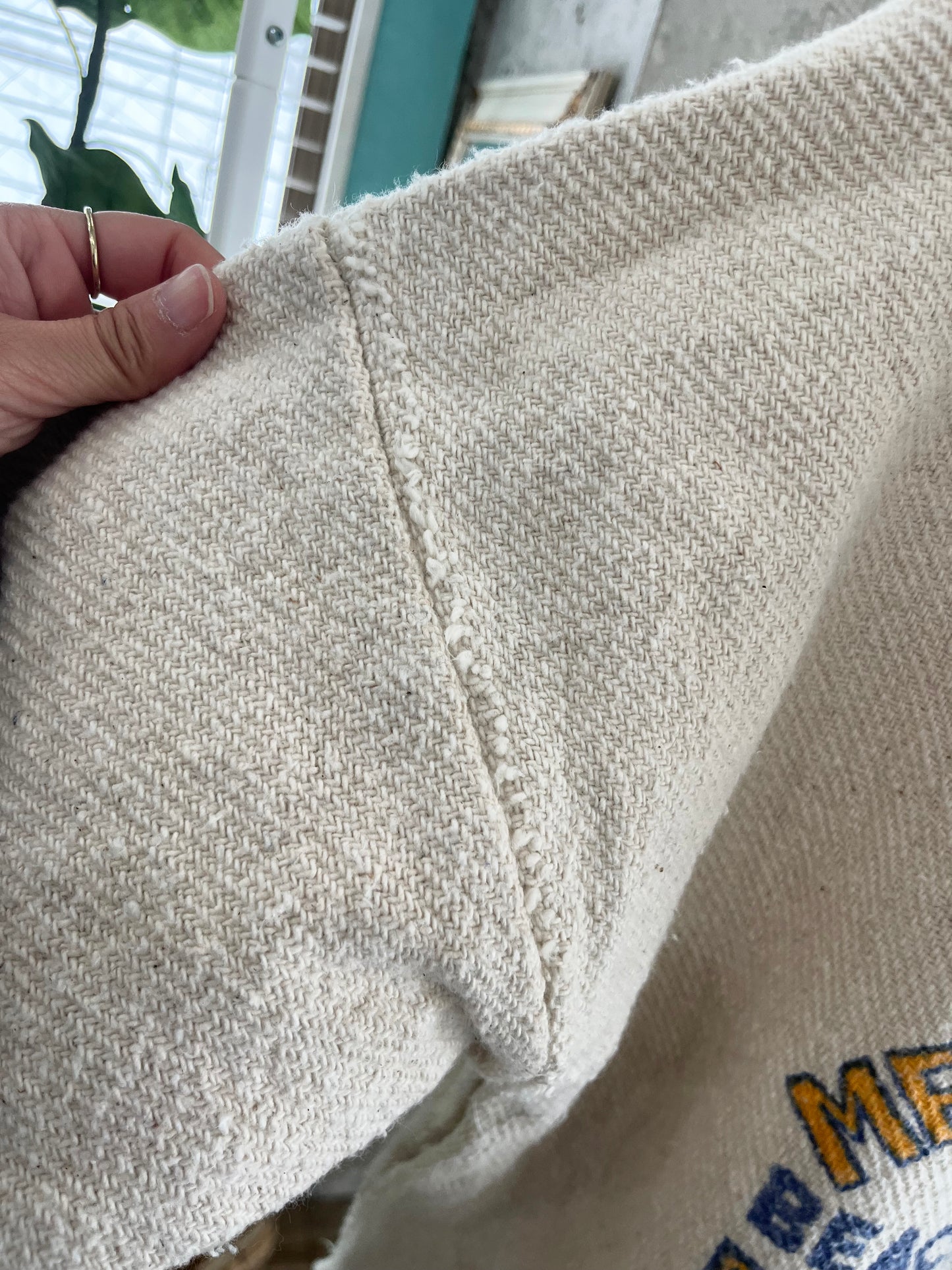 Member of the Mexico Corona Baja Hoodie (size XL※)