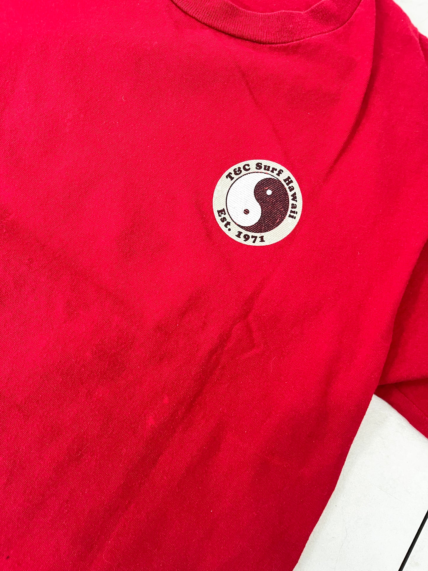 00's T&C Surf Hawaii Surfing Print Tee (men's L相当)