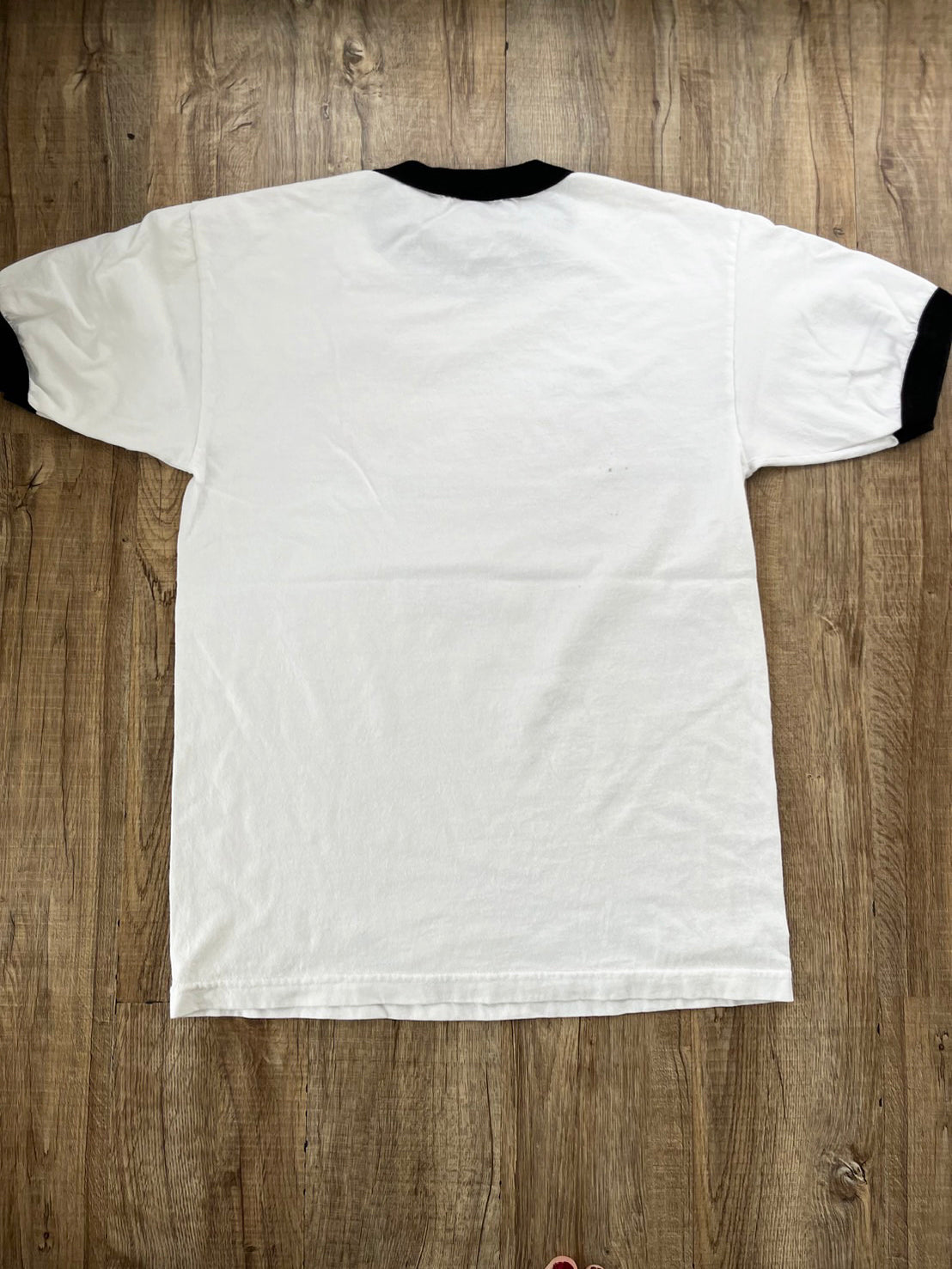 【USED】00's SANTA CRUZ ringer T-shirt (men's M)