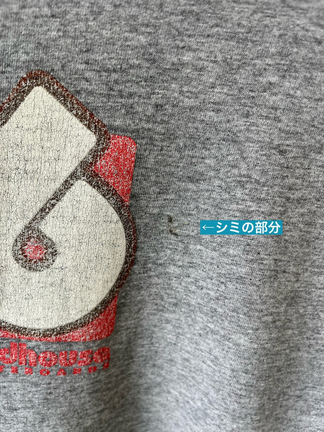 【birdhorse】2000's vintage skateboard t-shirt made in USA (men's M)