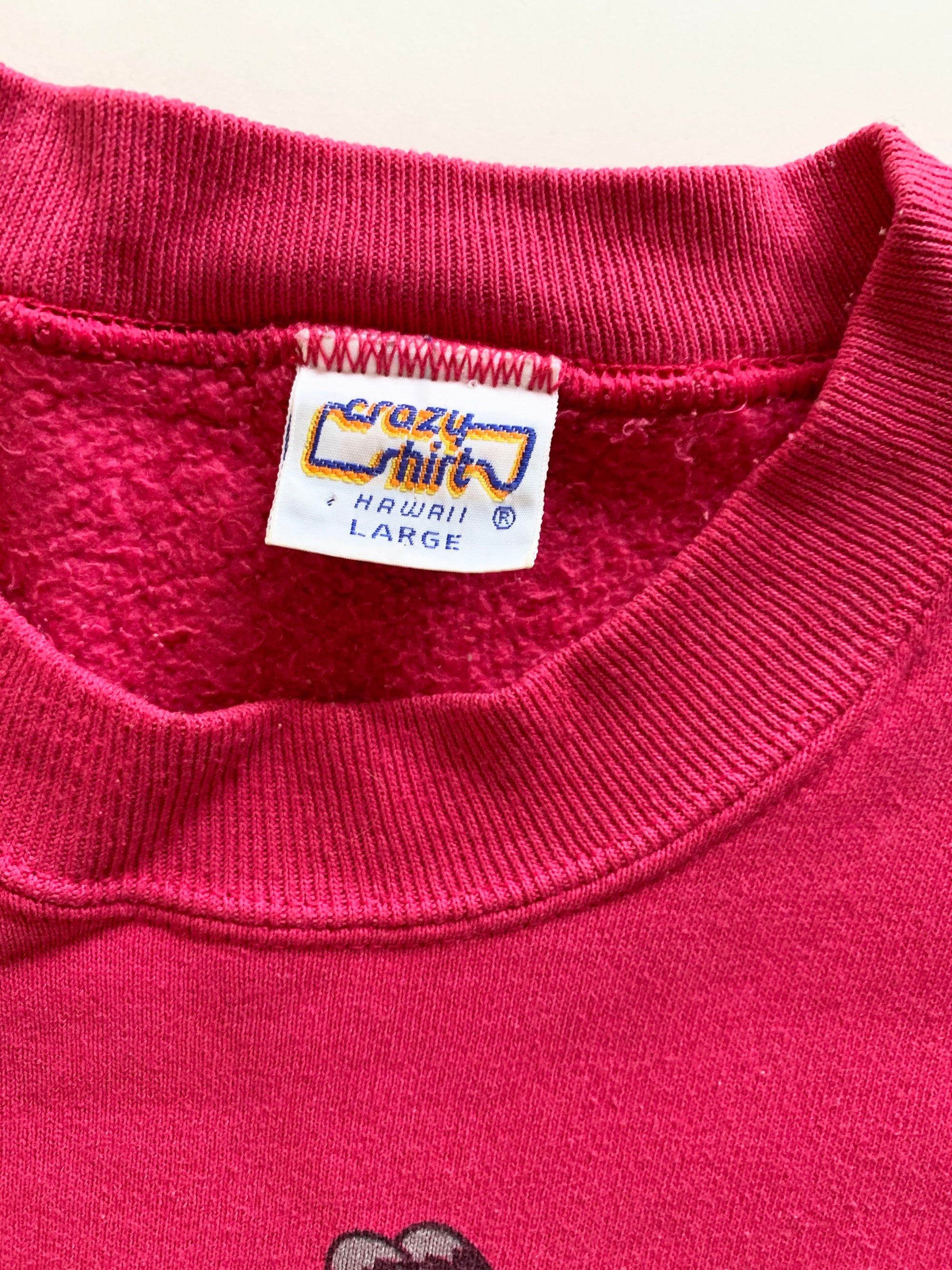 Crazy Shirt】クリバンキャット スキープリント ヘビーウエイト