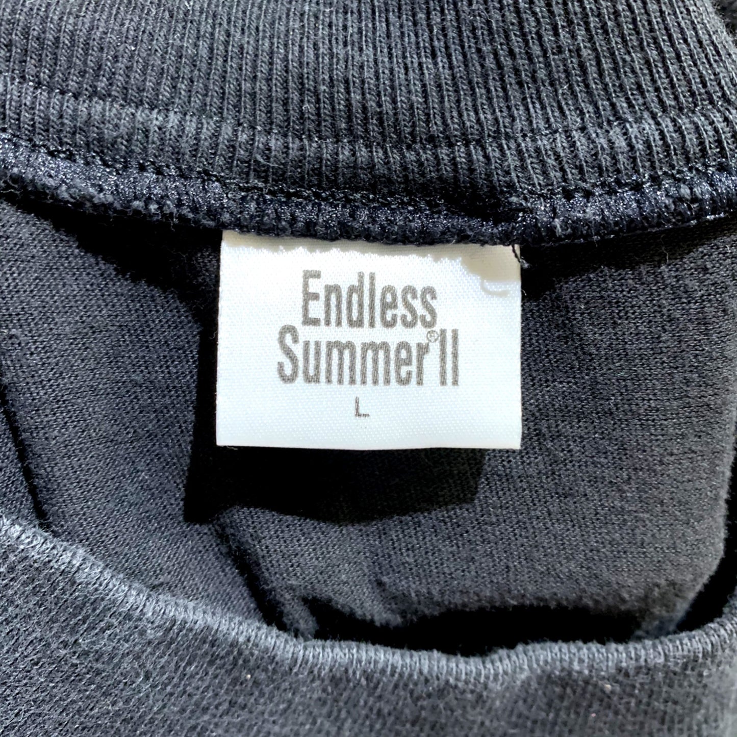 【Vintage】90's The Endless Summer 2 Tee　(men's L)