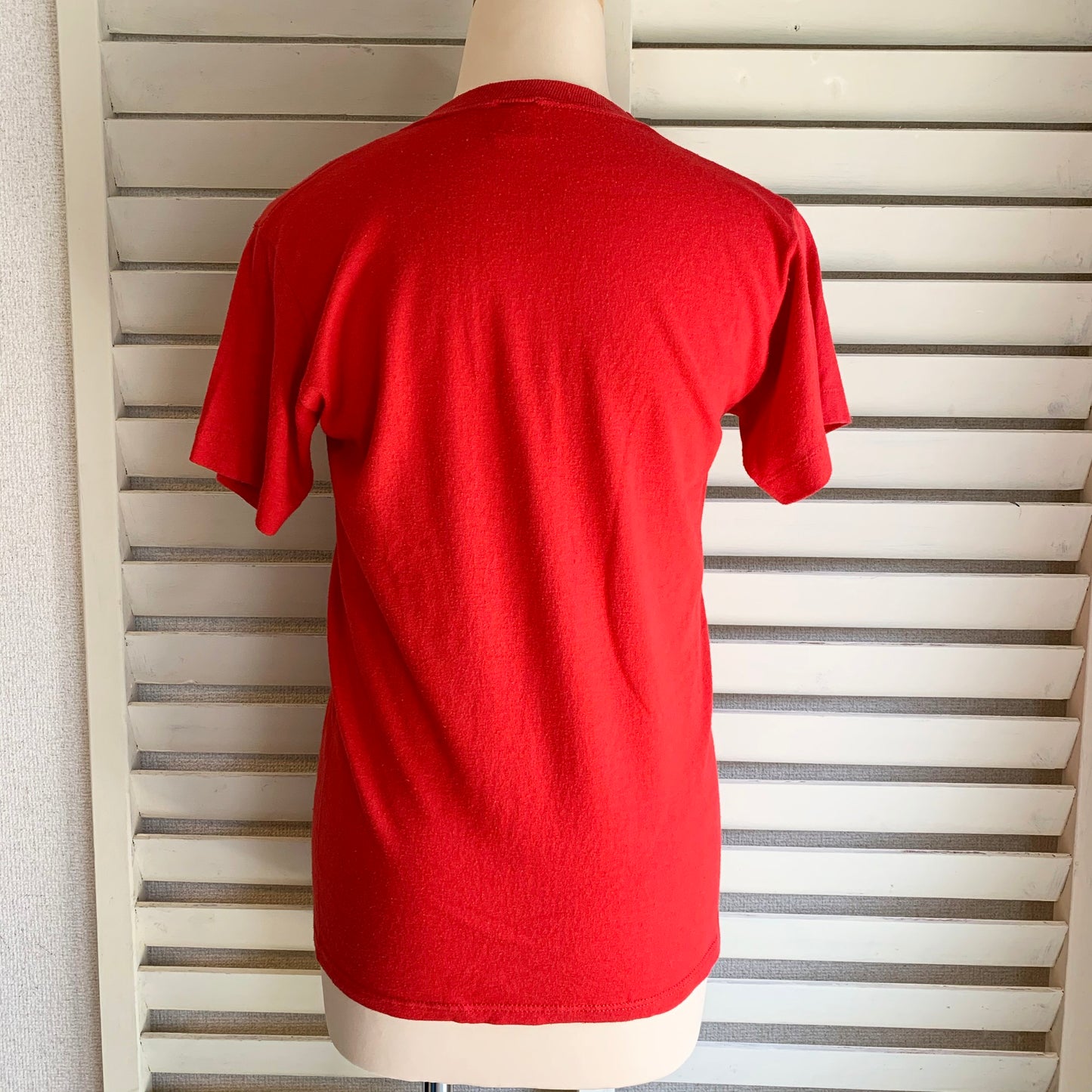 【VINTAGE】80's Lake Powell Tシャツ　(men's S)