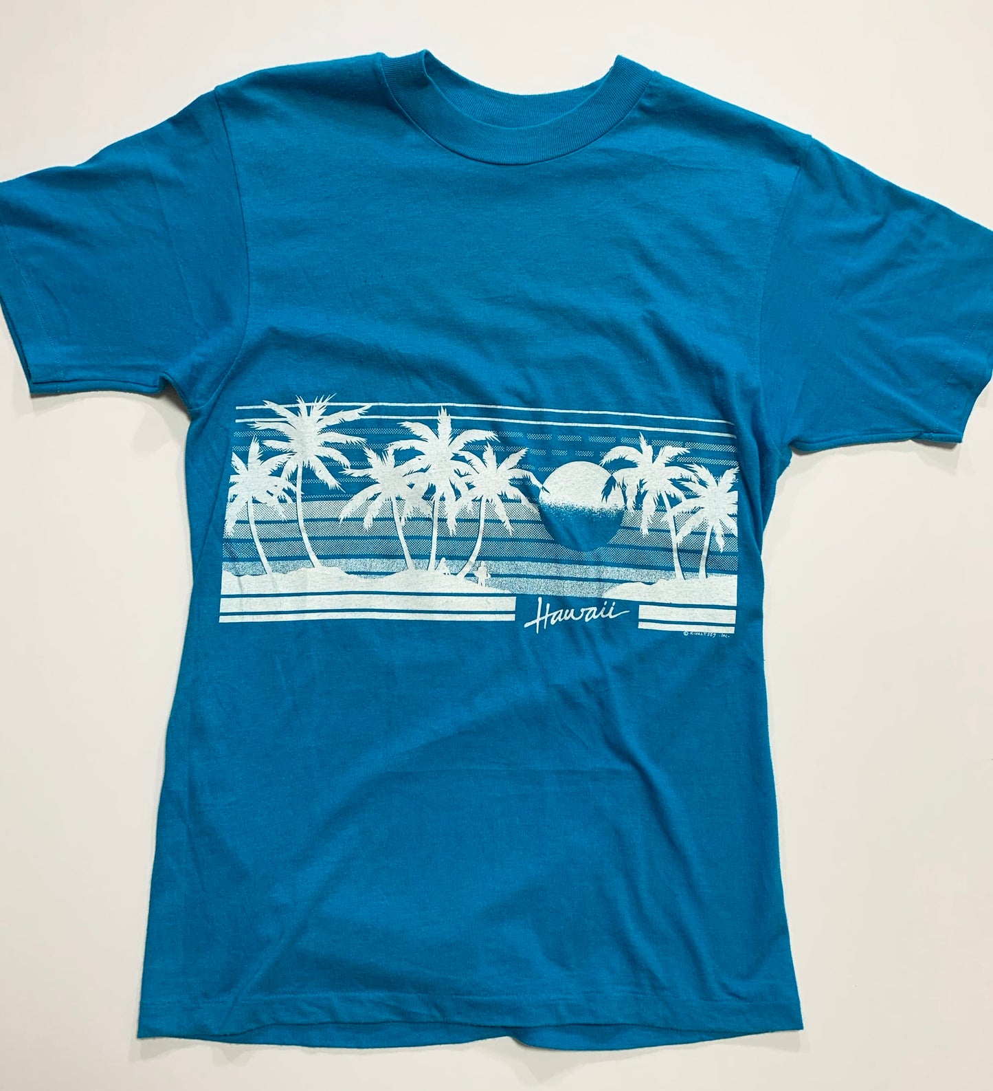 【Hanes】80s Hawaii USA製 スーベニア Tシャツ(men's M)