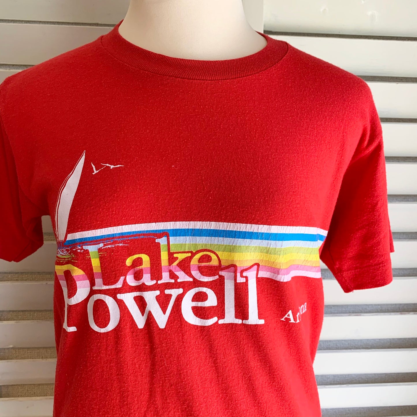 【VINTAGE】80's Lake Powell Tシャツ　(men's S)