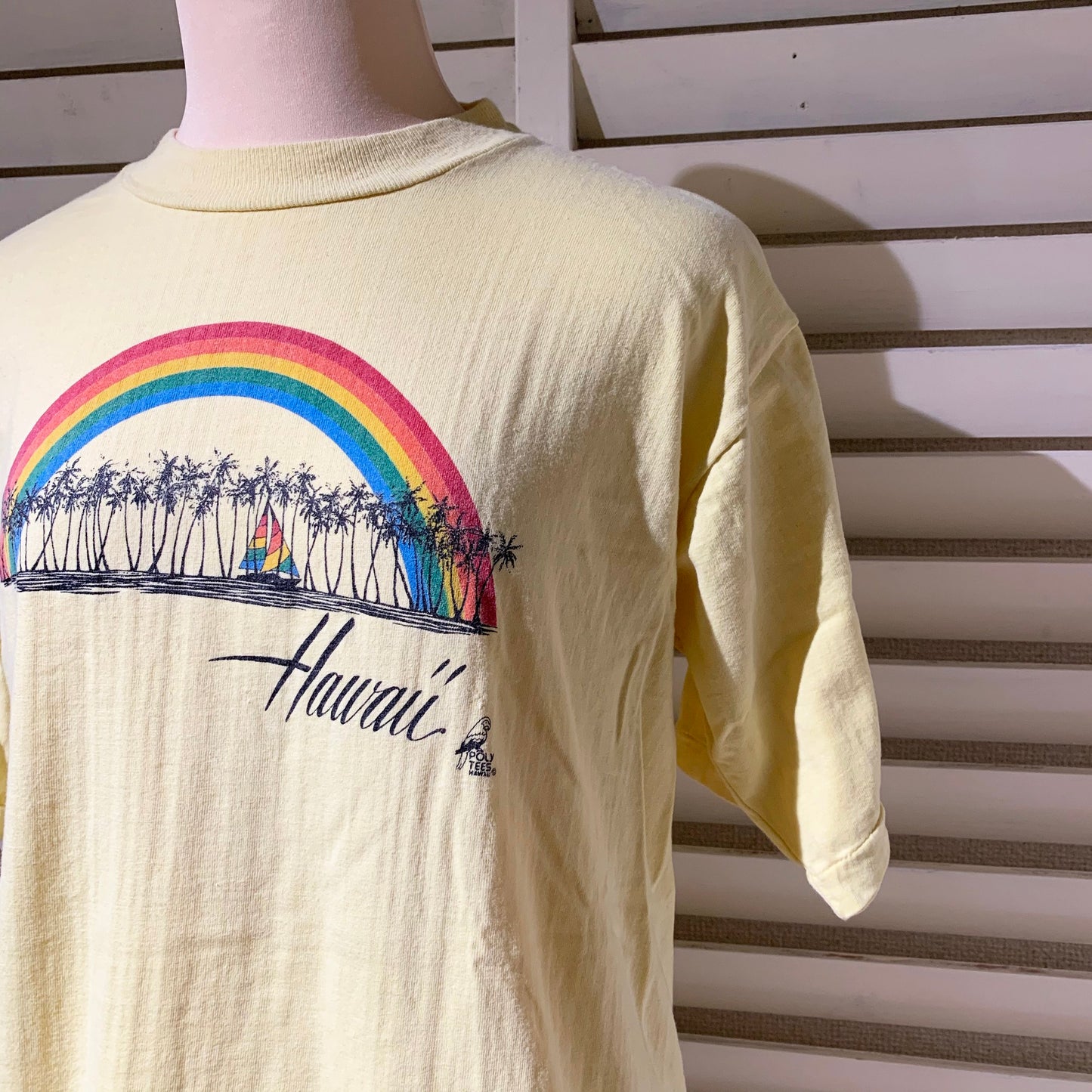 【POLYTees】70's ハワイ　ヴィンテージTシャツ (men's  L)