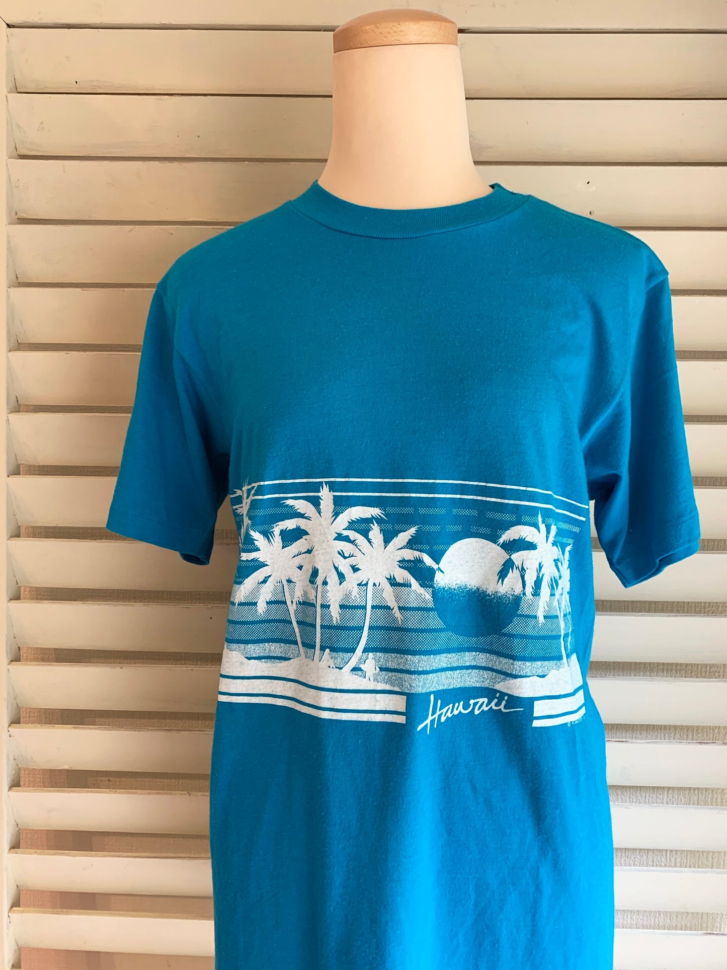 【Hanes】80s Hawaii USA製 スーベニア Tシャツ(men's M)